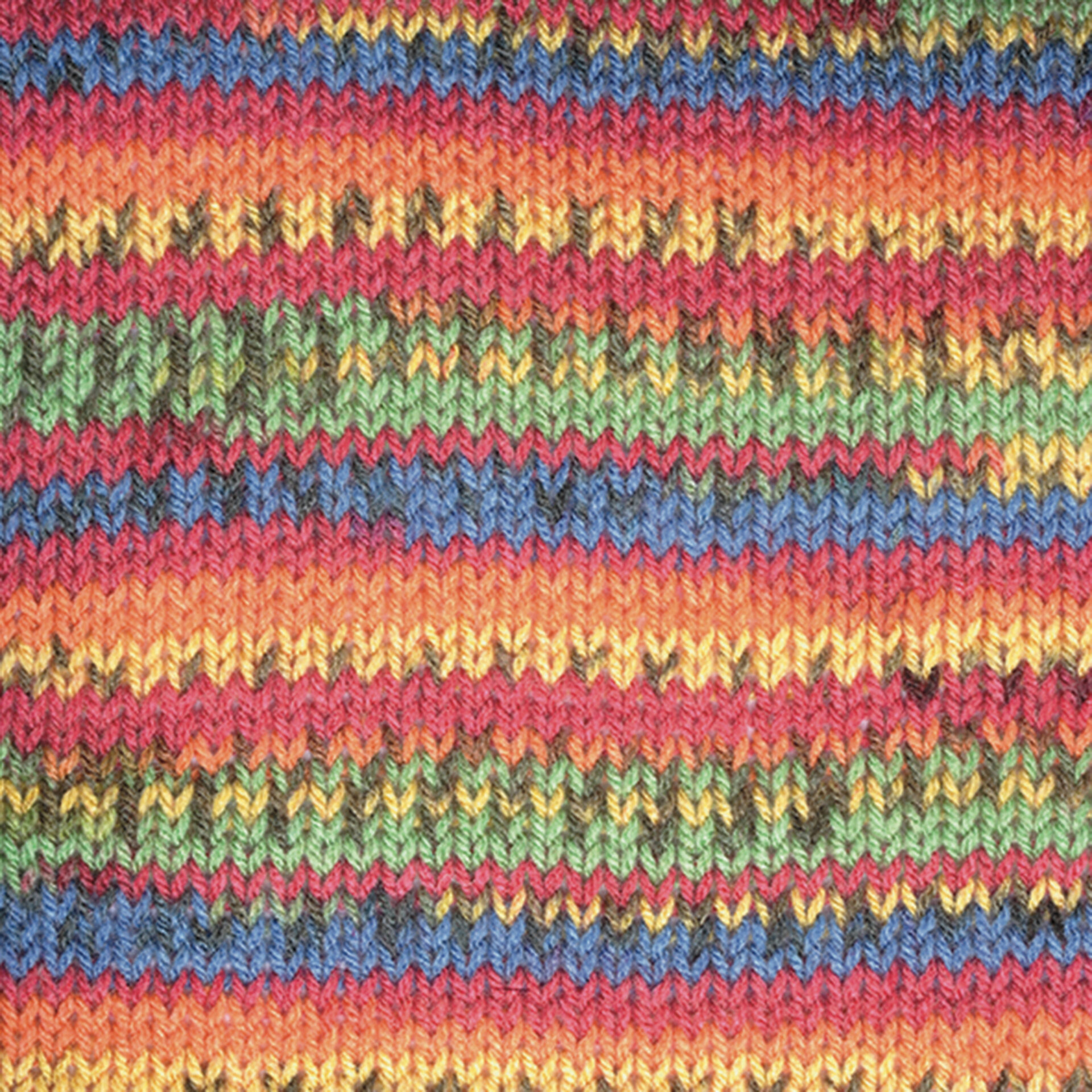 CRAZY_COLOR_148_Orgu
